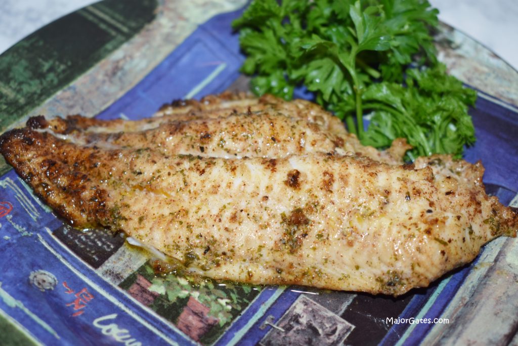 Seasoned Catfish Fillets · Major Gates