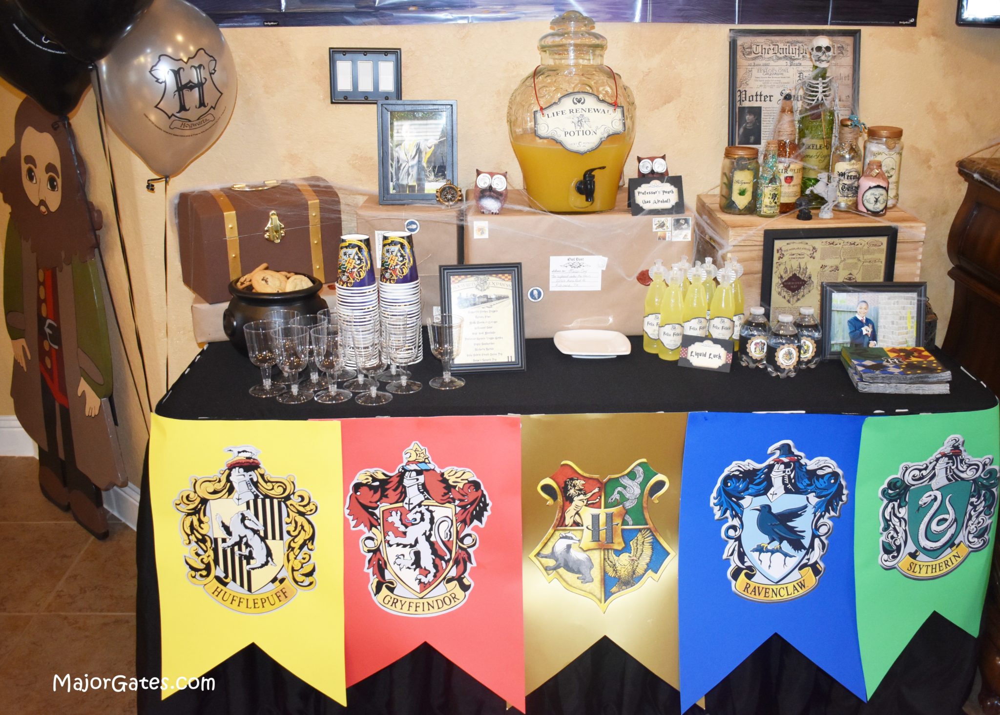 Planning A Harry Potter Party · Major Gates