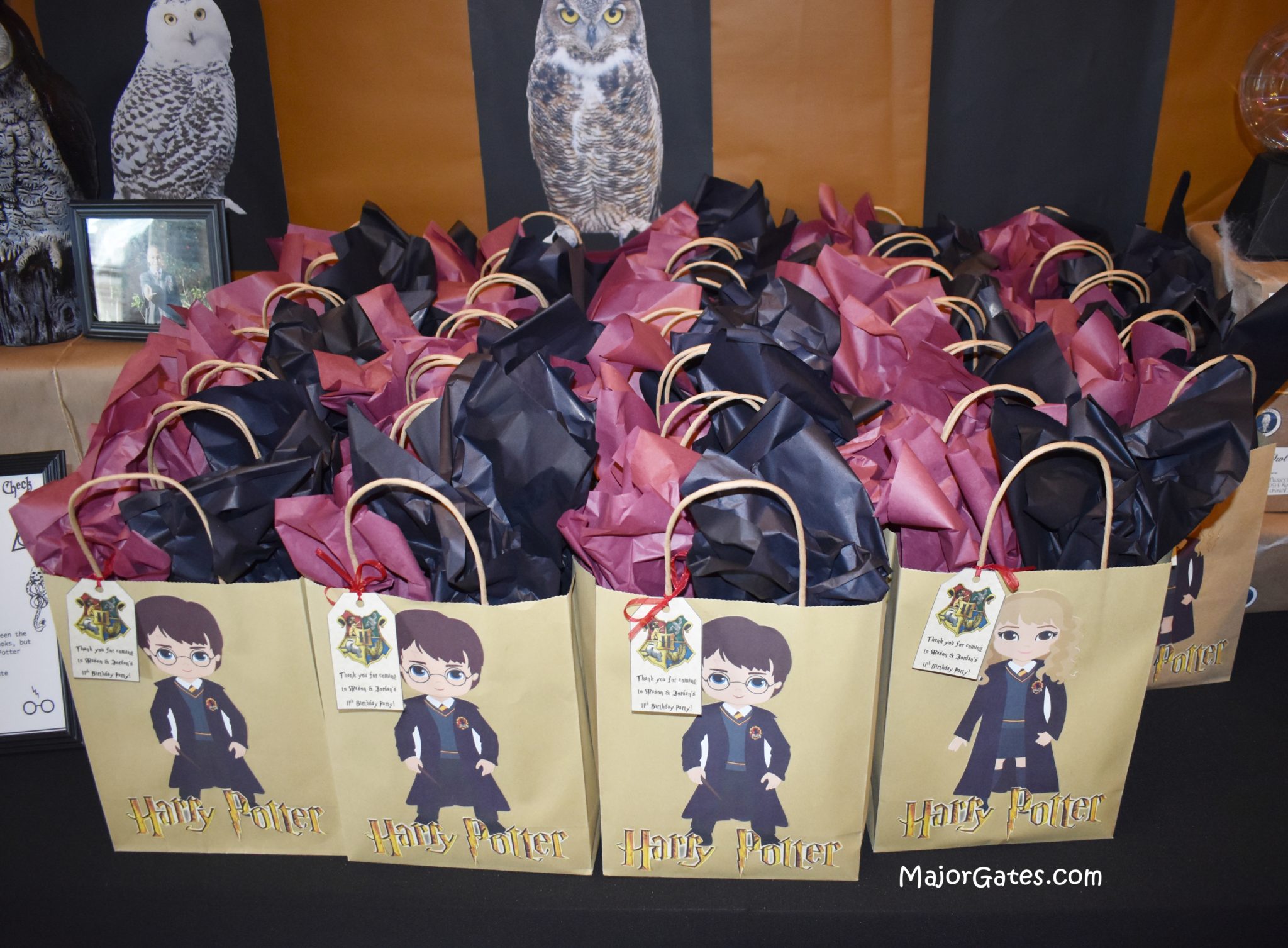 Harry Potter Treat Bags