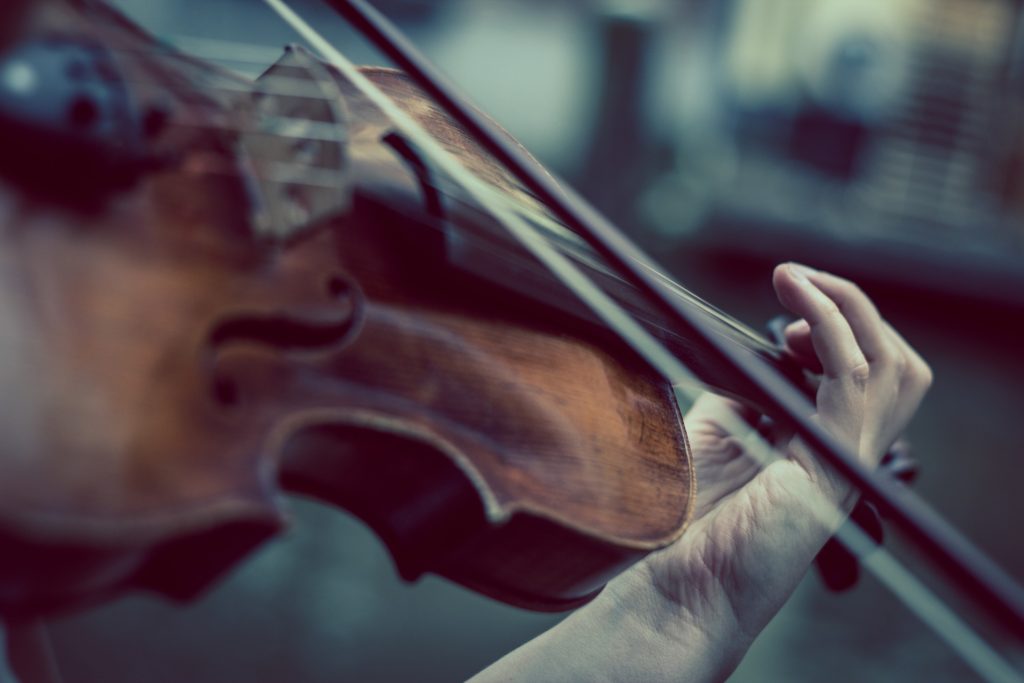 Violin Player