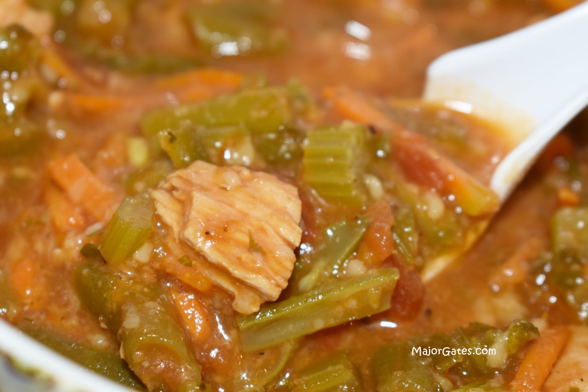 Chicken Vegetable Soup