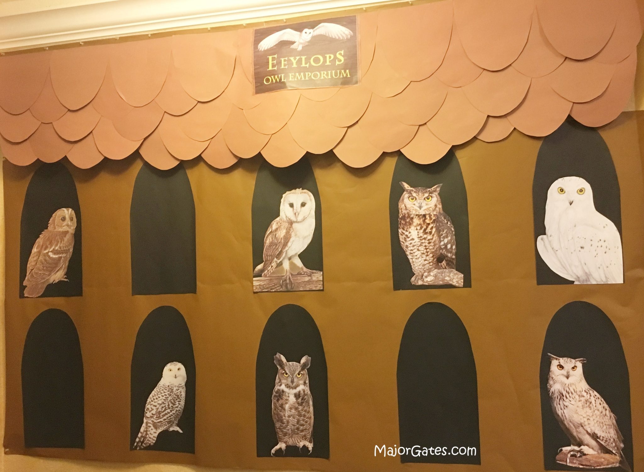 Harry Potter Owl Emporium