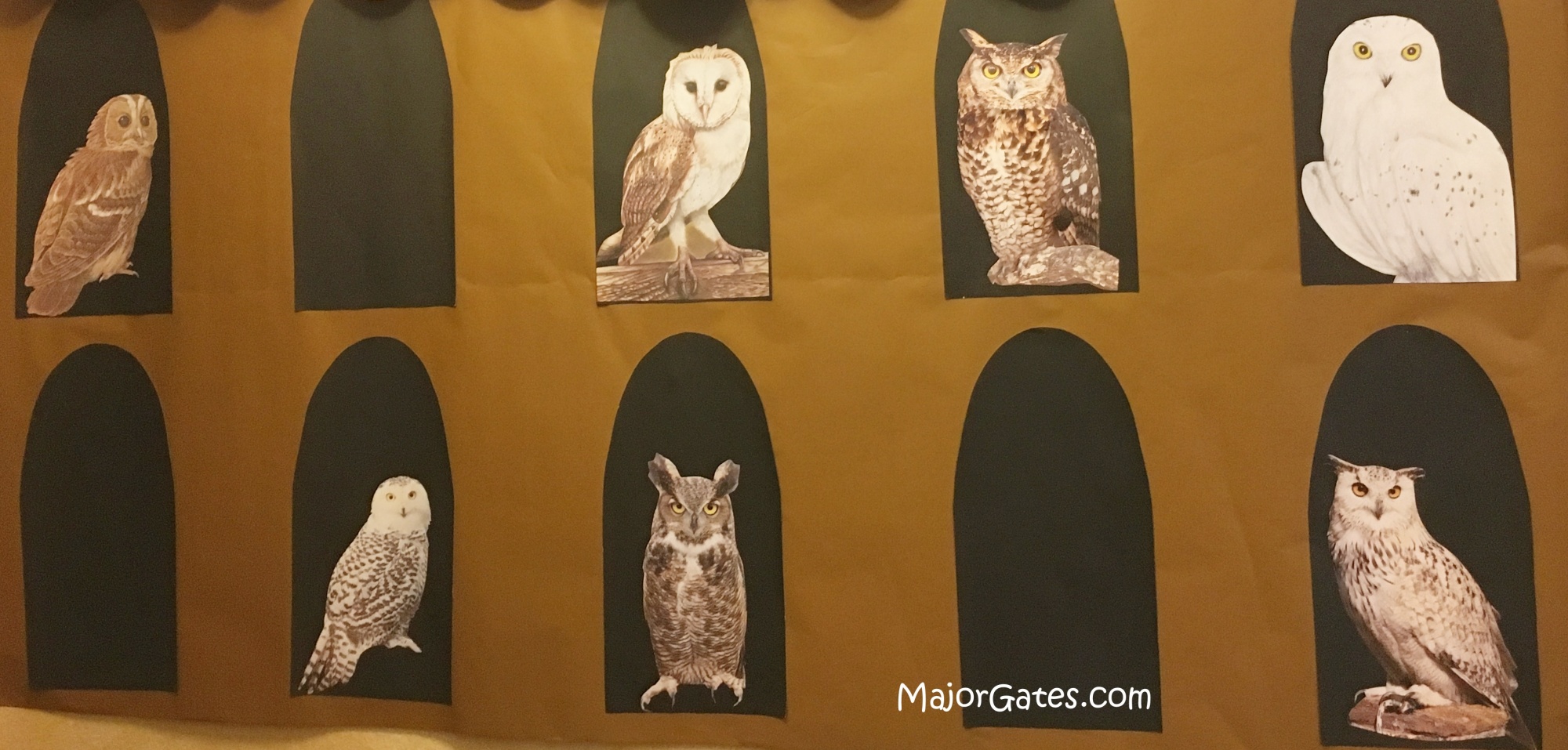 Harry Potter Owl Emporium · Major Gates