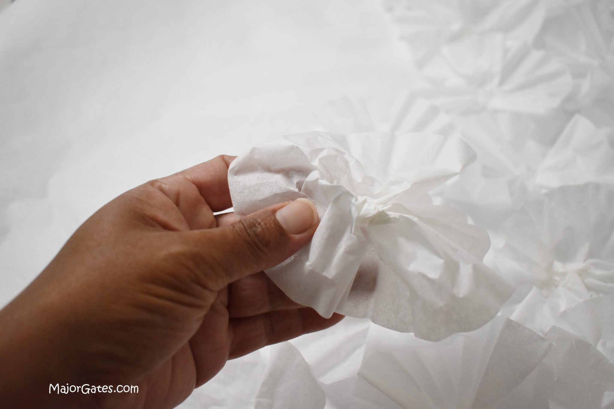 Coffee Filter Backdrop