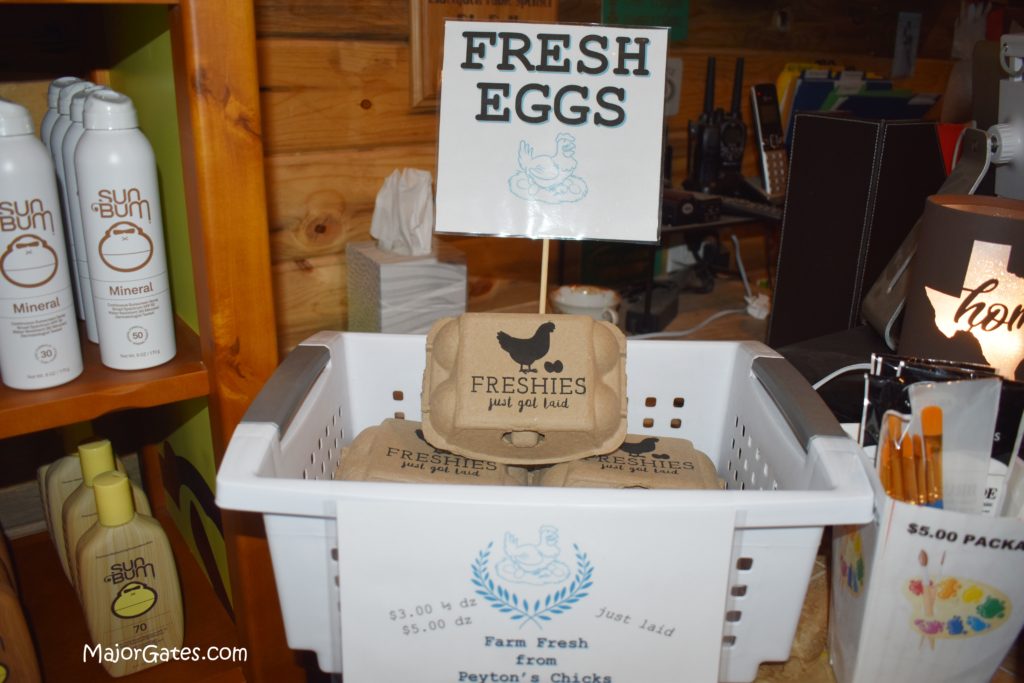 Fresh Eggs