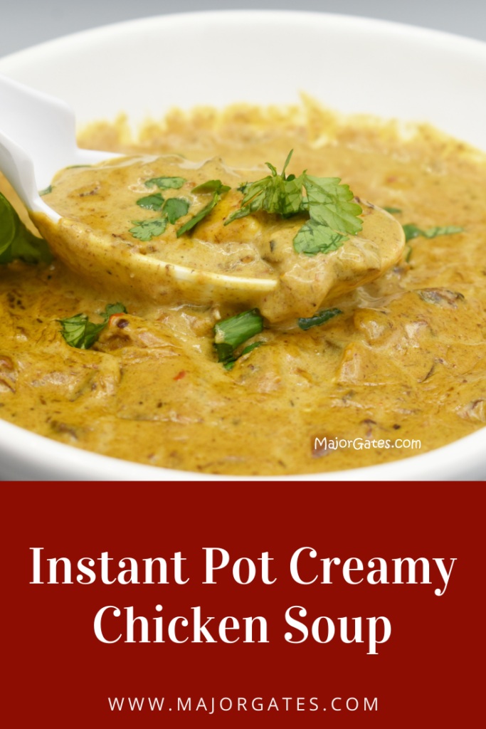 Instant Pot Creamy Chicken Soup