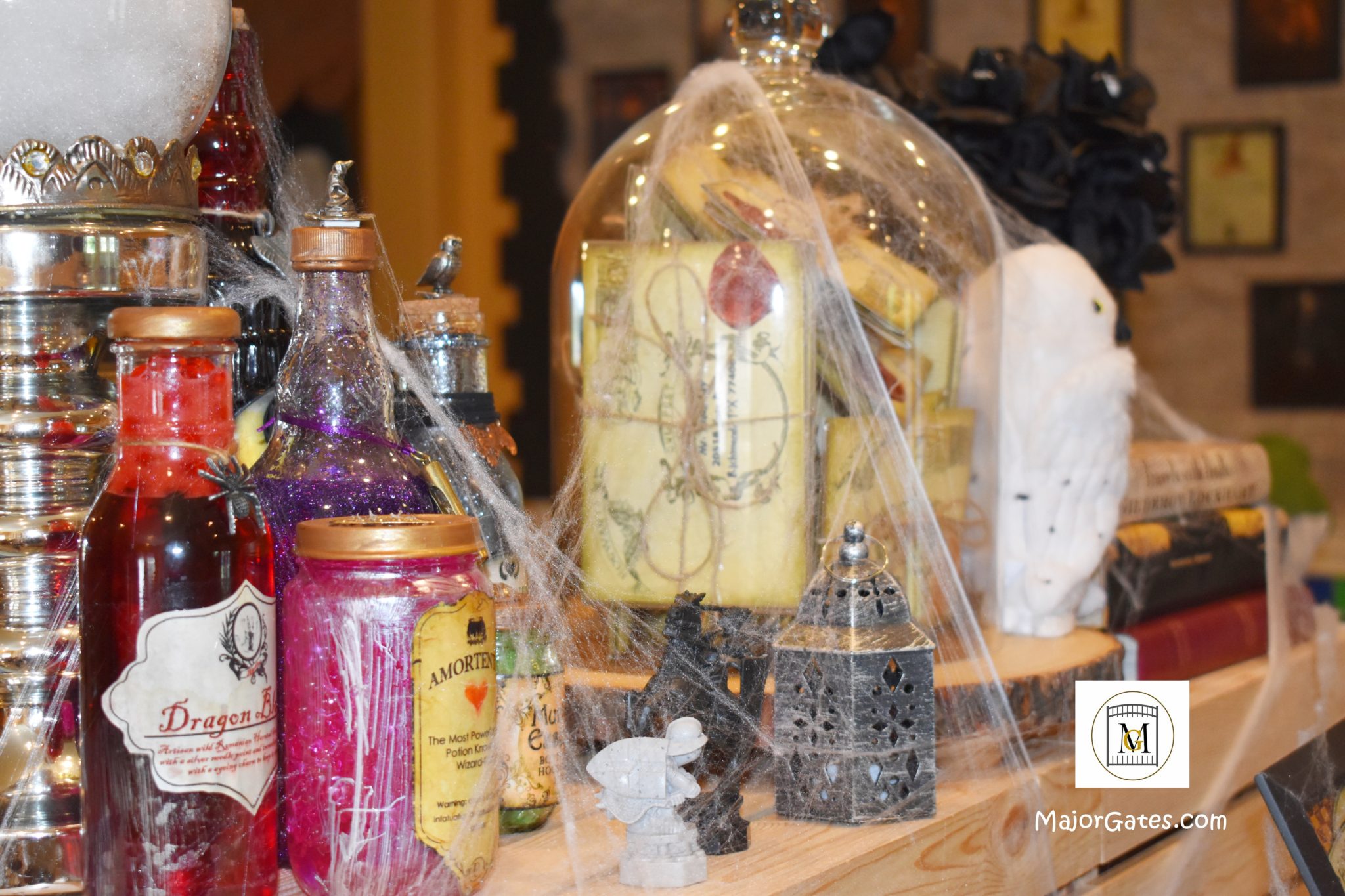 Harry Potter Potion Bottles · Major Gates