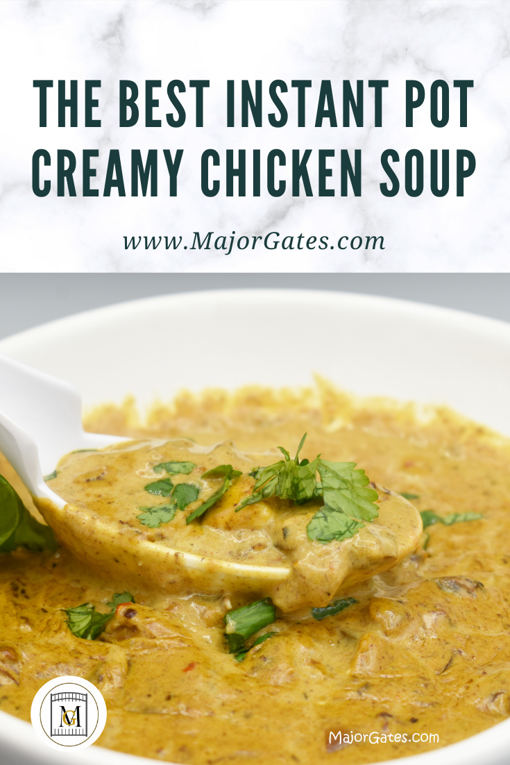 Instant Pot Creamy Chicken Soup