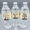 Harry Potter Wizard Party Water Bottle Labels