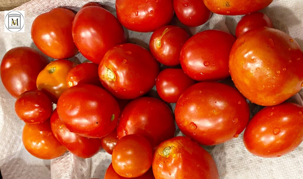 Roasted Tomato Sauce