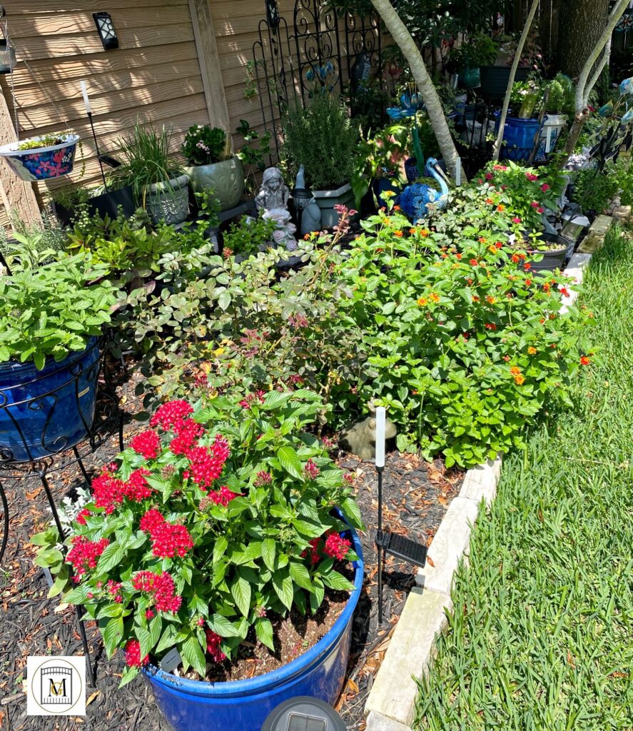 Southern Gardening Zone 9