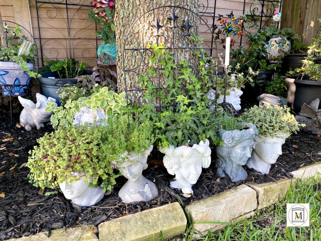 Southern Gardening Zone 9