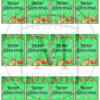 Grinch Favor Tag/Gift Tag Label