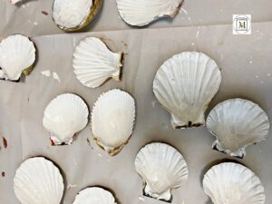 DIY Decoupage Shells