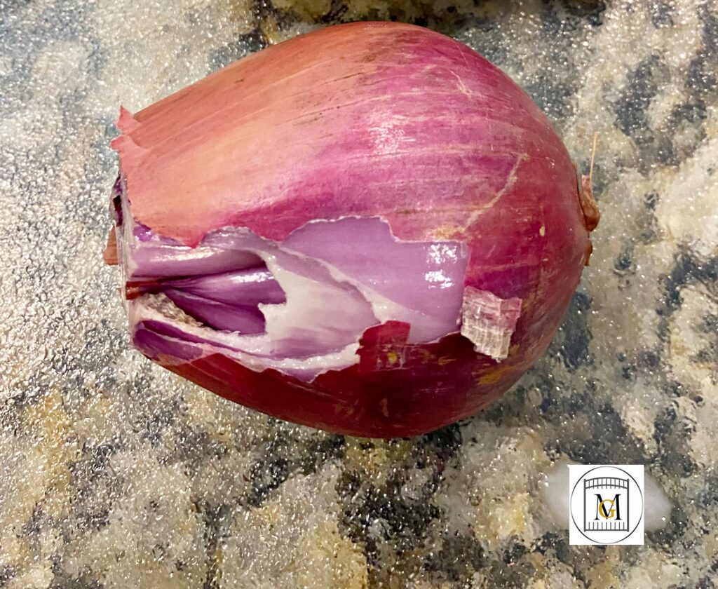 Shallot Onion