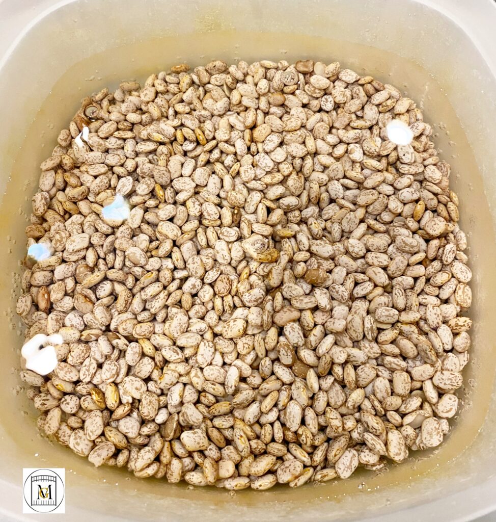 Instant Pot Charro Beans